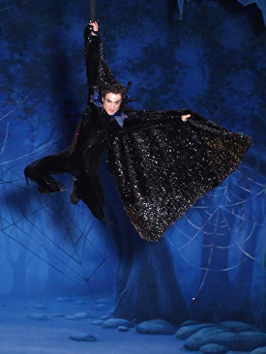 Ballet on Ice - Sleeping Beauty 2013