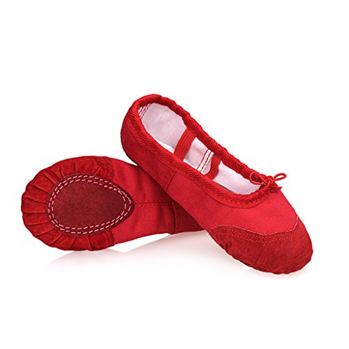 DoGeek Transpirable Zapatos de Ballet Zapatillas de Ballet de Danza Baile para...