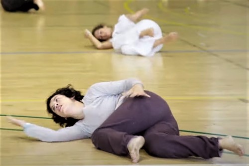 como aprender danza contemporanea en casa